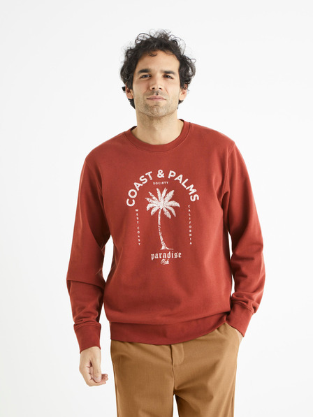 Celio Begrif Sweatshirt