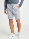 Ragwear Zyan Short pants