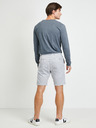 Ragwear Zyan Short pants