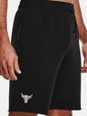 Under Armour Project Rock Terry Short pants