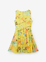 Desigual Gardenia Kids Dress