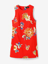 Desigual Sundance Dresses