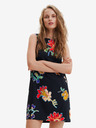 Desigual Sundance Dresses