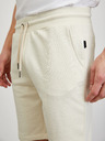 ZOOT.lab Jordan Short pants