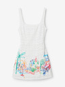 Desigual Mojito Dresses