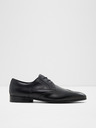 Aldo Dumond Oxford