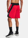 Under Armour UA Heatwave Hoops Short pants