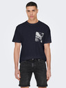 ONLY & SONS Perry T-shirt