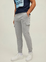 Jack & Jones Gordon Sweatpants