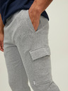 Jack & Jones Gordon Sweatpants