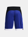 Under Armour UA Baseline 10'' Short pants