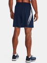 Under Armour UA Woven Graphic Short pants