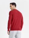 Celio Bepic Sweater