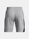 Under Armour Curry Splash Fleece Short pants