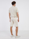 ONLY & SONS Avi Short pants