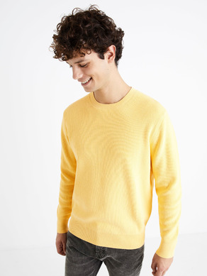 Celio Dexter Sweater