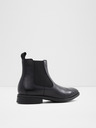 Aldo Chambers Ankle boots
