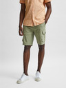 SELECTED Homme Marcos Short pants