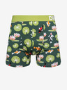 Dedoles Rybky koi a lekníny Boxer shorts