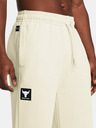 Under Armour Project Rock Hwt Terry Sweatpants