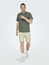 ONLY & SONS Sinus Short pants