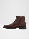 Aldo Unilis Ankle boots