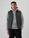 GAP ColdControl Vest