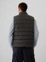 GAP ColdControl Vest